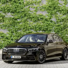 Elegancki, czarny Mercedes S Klasa lśni na tle zielonej ściany z bluszczu.