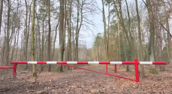 Przed nami szlaban z napisem "zakaz wjazdu do lasu". Droga leśna jest pusta, otoczona drzewami.